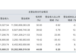 中信证券2024年年报出炉：猛增仓811亿元其他权益工具投资获得219亿元分红中信证券至信版下载
