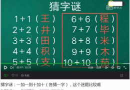 一加一不是二打一字谜底,揭秘字谜背后的智慧与趣味