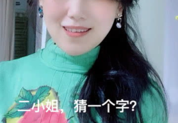 字谜二小姐打一字,二小姐之谜，一字解千愁