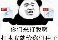 qq飞车表情包,趣味横生的游戏社交新宠