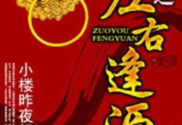 官运小说,命运与奋斗的交织