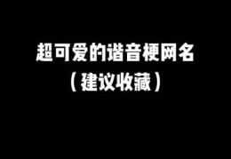 高级谐音梗网名,解锁高级谐音梗网名的趣味之旅